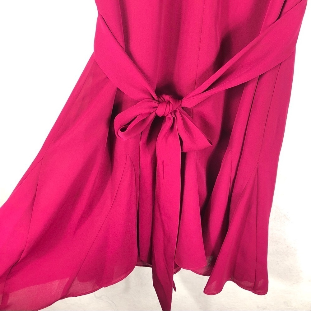 [Parker] Raspberry Shift Dress - Picture 6 of 6